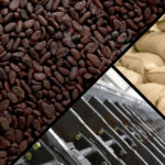 Cocoa beans and a conveyor for raw materials